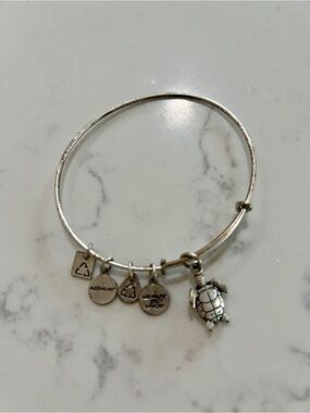 Alex and Ani Silver Turtle Charm Bangle in Bright Silver Tone